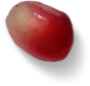 pomegranate-kernel-3